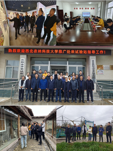 试验示范站参观交流剪影.png