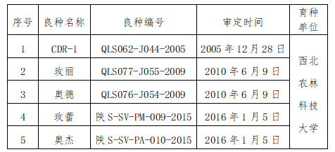 QQ截图20240110174159.png