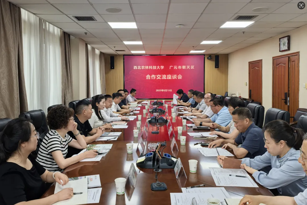 QQ20250625-171715.png