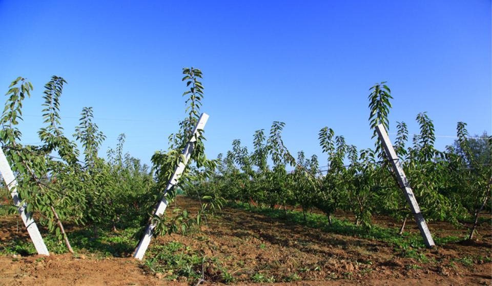 42785cc40b784635bf2d499625398330.jpg 42785cc40b784635bf2d499625398330.jpg