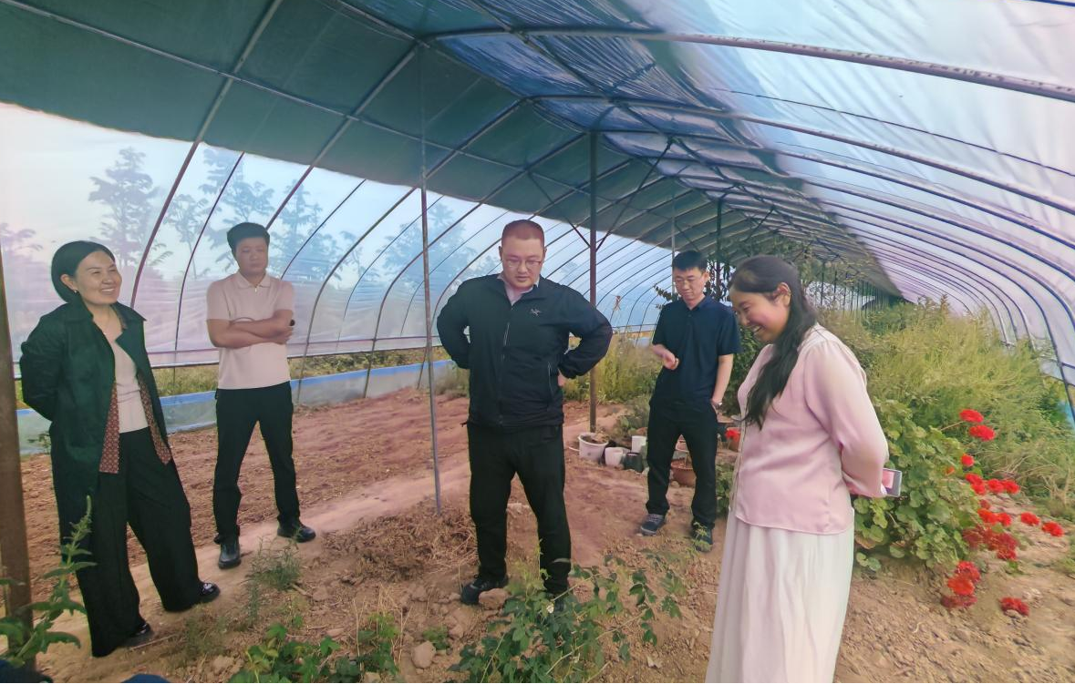 西北农林科技大学专家组走进玉凝香玫瑰香草基地育苗大棚.png