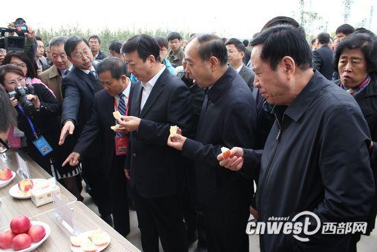副省长冯新柱等领导嘉宾品尝洛川苹果试验站培育的新品种苹果