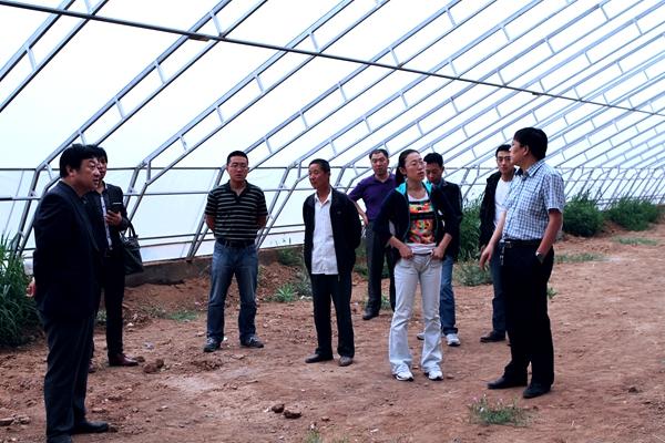 乐都试验站新型日光温室