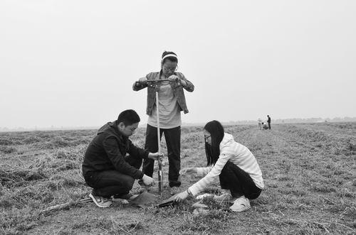 研究团队人员采集今年苜蓿第一次刈后土壤样本