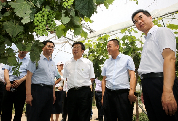 a6f3d7935c2f48f0b68987583256b8cf.jpg 吴普特2.jpg