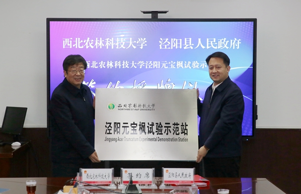 bd965d8779e54a6487e8e496d4aaa9c8.jpg 321A9636_副本_副本.jpg