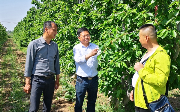 26e630bf9cfb4c93b19454eeec41c988.jpg 图四_副本.jpg