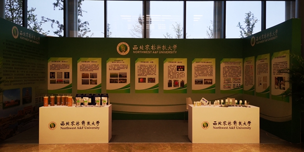 1eaf3acf70624b1b9f511042e0ef02da.jpg 学校特装展区_副本.jpg