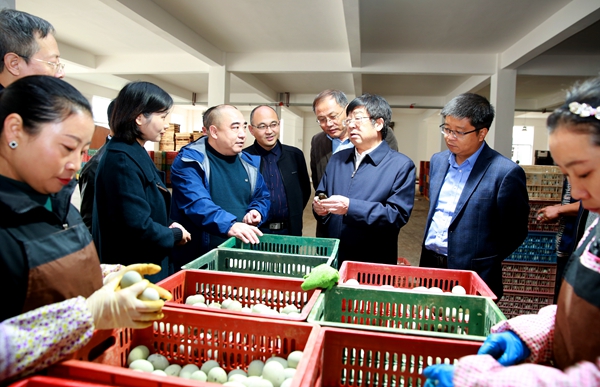 7741a870f85a4a38a31a20571a2f843b.jpg 吴普特一行在城固县三合工业园区调研松花皮蛋生产销售情况_副本.jpg