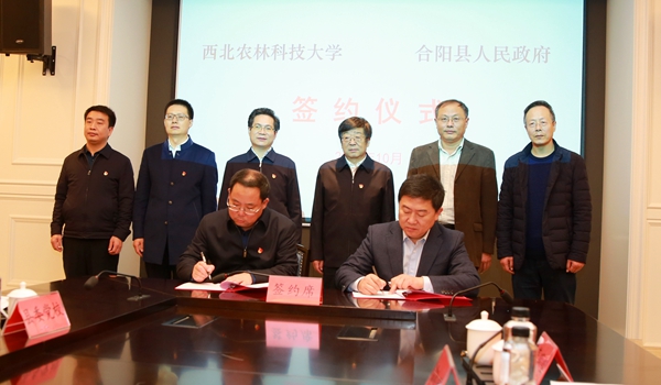 abb9bec4d3c74120b8bcebc5c0e87650.jpg 我校与合阳县签订全国农业科技现代化先行县共建协议_222副本.jpg