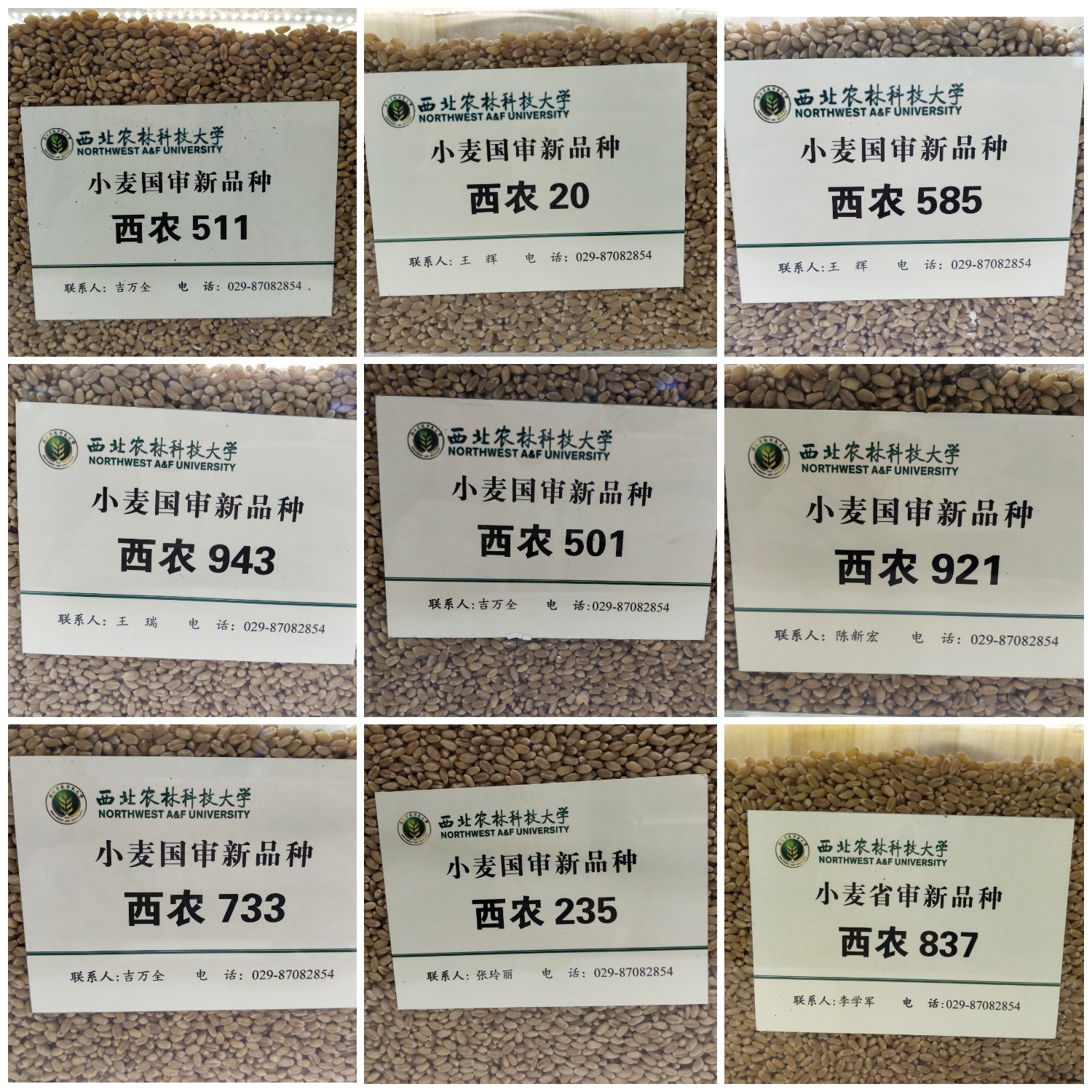 0fa9499aef004dd2b05997ae97ba2122.jpg