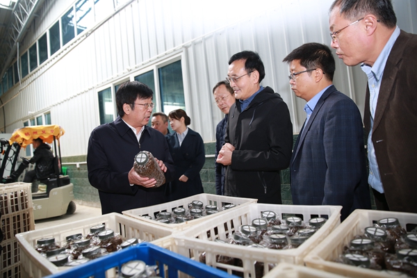 67dbe7351a074bc2b7c9ad7e5aef5ae8.jpg 吴普特一行在城固县董家营镇湖广营村种植示范基地调研羊肚菌产业发展情况_副本.jpg