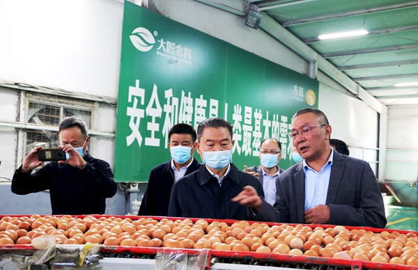 45d0fbf4535846dab0653ccbd61b7c57.jpg 在大匠农科集团蛋鸡养殖厂调研_副本.jpg