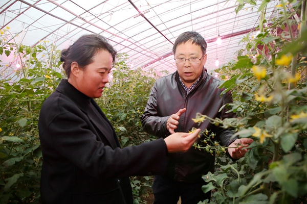 76202a2bb40746639c88db294a47d018.jpg 6赵敏娟一行在我校安塞蔬菜试验示范站调研.jpg