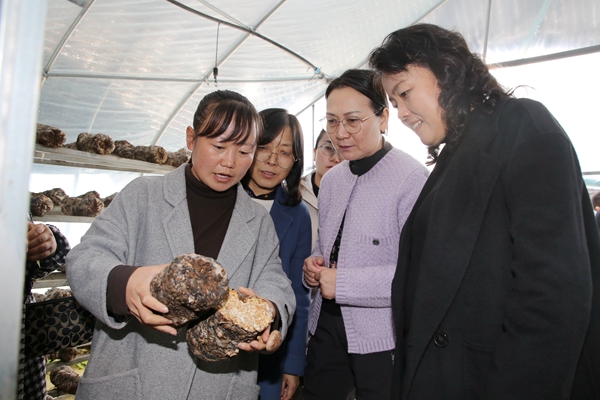 535b28fa0d484da09c3eb58060d36e38.jpg 5赵敏娟一行在延安市宝塔区河庄坪镇调研食用菌产业发展情况.jpg